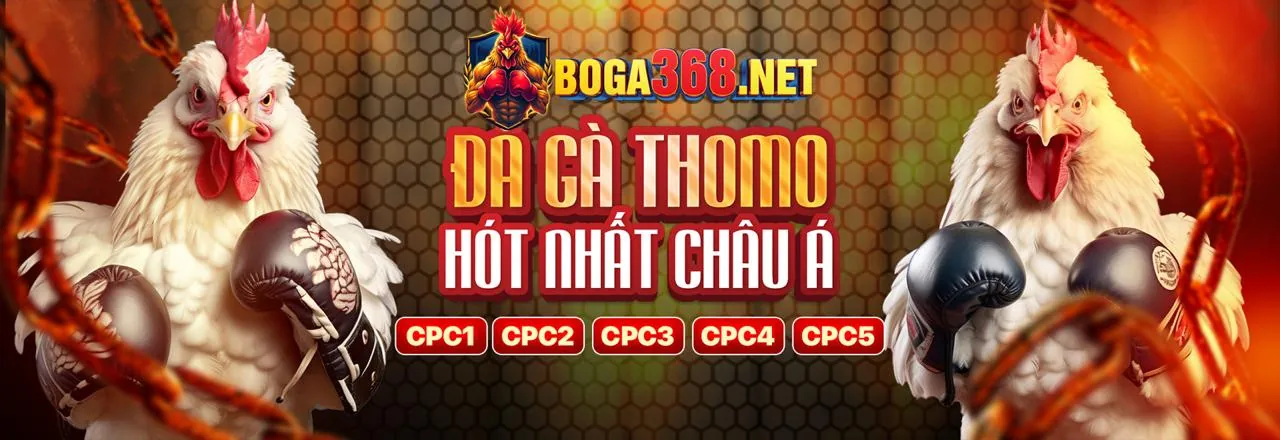 Cải tiến nền tảng và ứng dụng di động QQ8889